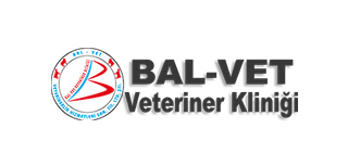 biVet veteriner programı